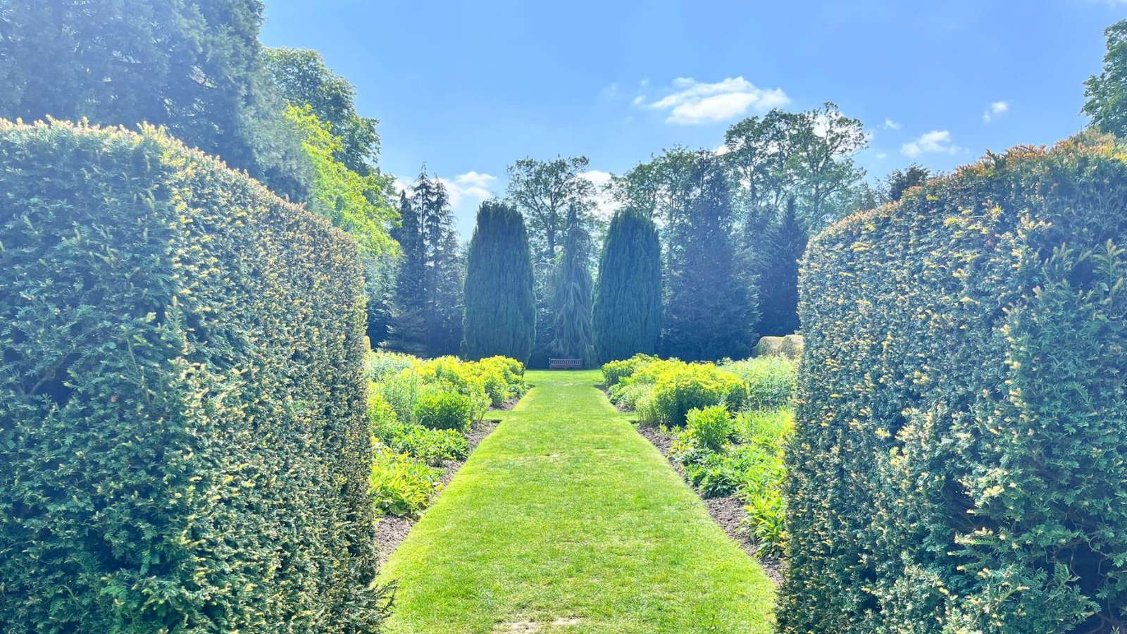 Can you spot my bench in the Harris Gardens?